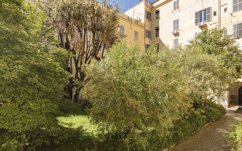 Marsicum: Plante, Bâtiment, Fenêtre, Ciel, Branche, Végétation, Lumière Du Soleil, Arbre, Arbuste, Couverture De Sol