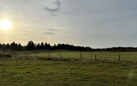 Sönke - 4Km from the Sea: Ciel, Herbe, Nuage, Prairie, Horizon, Paysage Naturel, Plaine, Champ, Écorégion, Pâturage