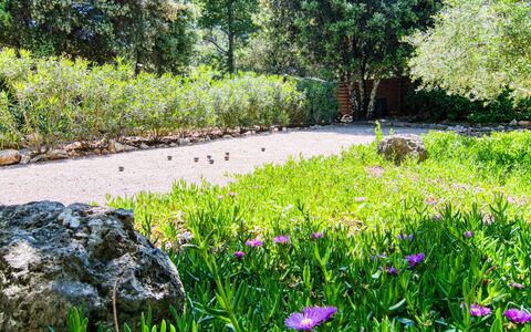 Villa Hestia: Jardin, Arbuste, Communauté Des Plantes, Couverture De Sol, Printemps, Jardin Botanique, Aménagement Paysager, Ombre, Pelouse