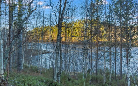 Alakoski: Bois, Chalet, Cabane En Rondins, Forêt, Cabanon, Batiments Jardin, Mélèze, Des Bois, Tache De Bois