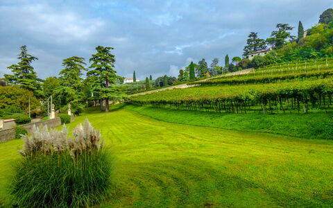 Il Vigneto, Verona, Pool, Wifi: Nuage, Ciel, Plante, Vert, Paysage Naturel, Arbre, Lot Terre, Montagnes, Agriculture, Plaine