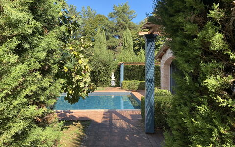 Villa Bongi: Feuille, Vert, Arbuste, Jardin, Ombre, Suppression Des Plantes Ligneuses, Aménagement Paysager, Piscine, À Feuilles Persistantes, Haie
