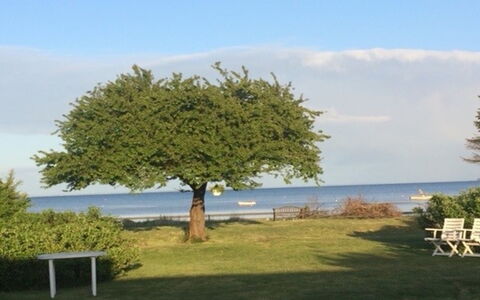 Viveke - 10M from the Sea: Bois, Domicile, Porche, Plate-Forme, Dur, Toit, Tache De Bois, Parquet, Eco Hôtel