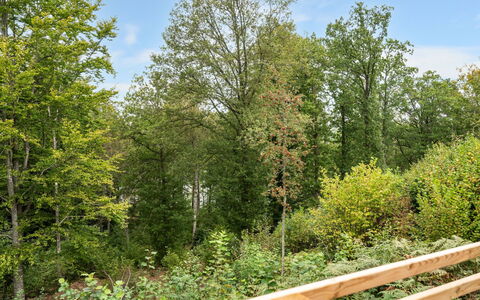 Gaslunda Tvåan: Plante, Ciel, Table, Nuage, Meubles, Chaise, Arbre, Ombre, Paysage Naturel, Mobilier De Jardin