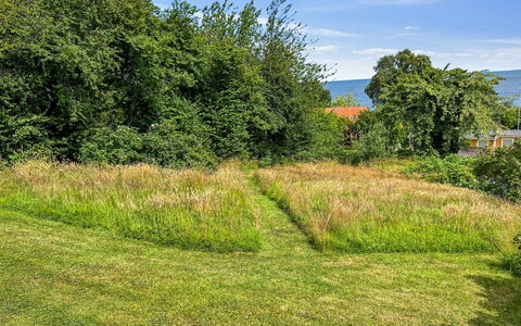 Ågot - 350M from the Sea: Herbe, Vert, Feuille, Végétation, Arbuste, Prairie, Communauté Des Plantes, Lot Terre, Couverture De Sol