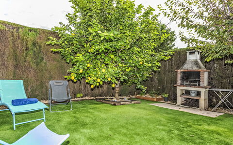 Espigol: Plante, Vert, Ciel, Nuage, Herbe, Ombre, Lot Terre, Paysage Naturel, Arbre, Mobilier De Jardin