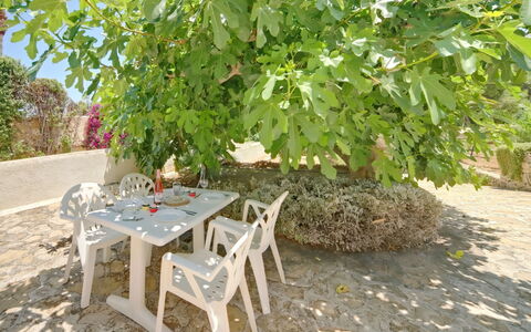 Gavrena: Plante, Table, Feuille, Tableau De Plein Air, Mobilier De Jardin, Arbre, Herbe, Couverture De Sol, Chaise, Bois