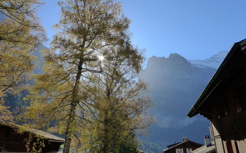 Heidi: Ciel, Bâtiment, Mélèze, Arbre, Lumière Du Soleil, Plante, Maison, Montagne, Nuage, Atmospherique Phénomène