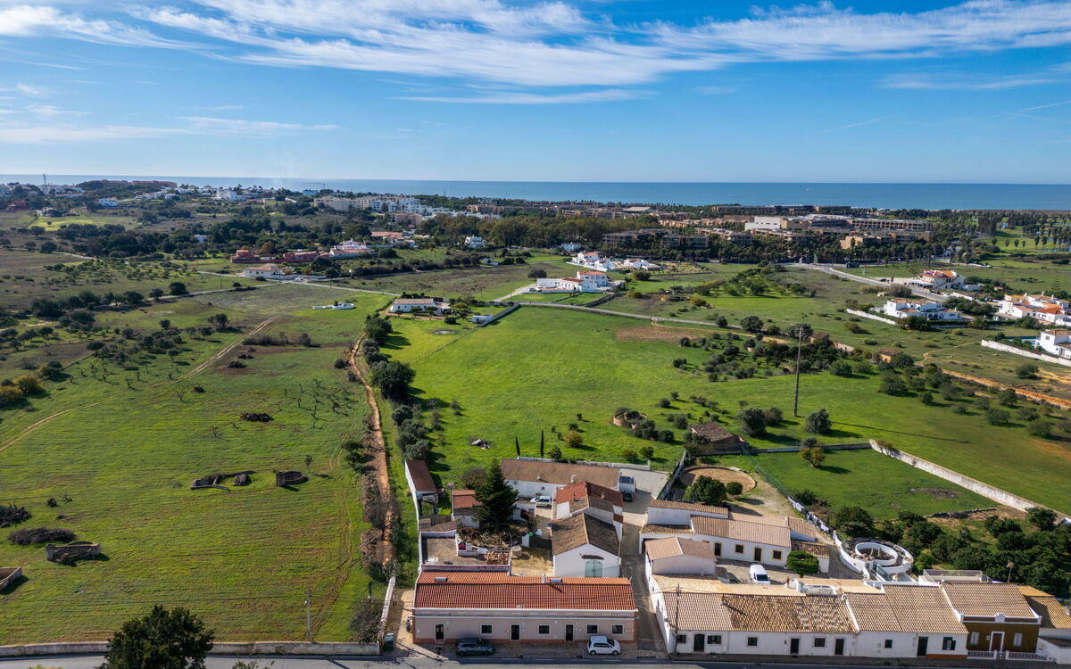 Rocha