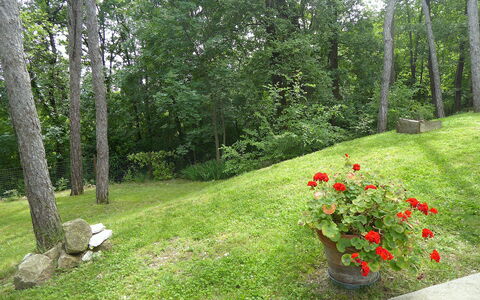 Casa Delle Eriche, Colli Euganei, Pool, Wifi: Herbe, Arbuste, Jardin, Pelouse, Couverture De Sol, Printemps, Aménagement Paysager, Prairie