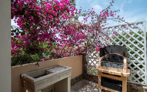 Del Mare Dipinto: Bâtiment, Plante, Meubles, Table, Chaise, Fenêtre, Ombre, Arbre, Orange, Mobilier De Jardin