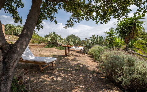 Del Mare Dipinto: Bâtiment, Plante, Meubles, Table, Chaise, Fenêtre, Ombre, Arbre, Orange, Mobilier De Jardin