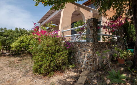 Del Mare Dipinto: Bâtiment, Plante, Meubles, Table, Chaise, Fenêtre, Ombre, Arbre, Orange, Mobilier De Jardin