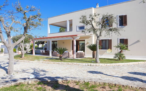 Villa Don Sante In Locorotondo Puglia: Plante, Ciel, Bâtiment, Propriété, Fenêtre, Maison, Arbre, Ombre, Porte, Zone Résidentielle
