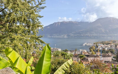 Locarno 361