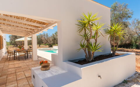 Villa Jolie: Ombre, Aménagement Paysager, Jardin, Eco Hôtel, Biens, Conception, Hacienda, Villa, Recours