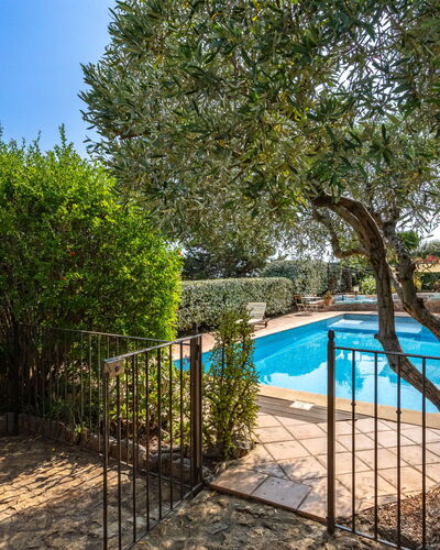 Mimosas: Plante, L'Eau, Ciel, Arbre, Ombre, Clôture, Paysage, Zone Rurale, Loisir, Piscine