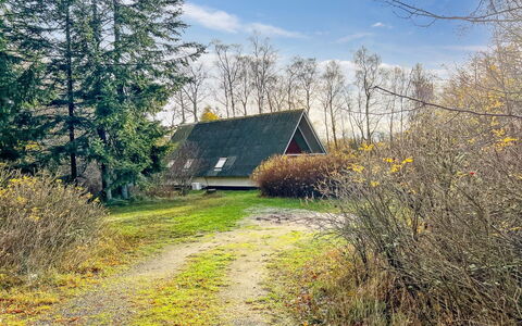 Maikel - 1Km from the Sea: Bois, Meubles, Appartement, Pièce, Plafond, Tache De Bois, Chaise, Dur, Vernis, Lumber