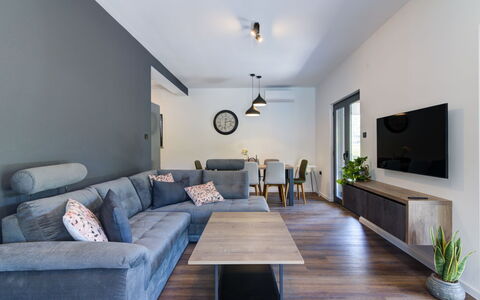 Kal: Meubles, Propriété, Plante, Canapé, Table, Bleu Azur, Bois, Design Intérieur, Éclairage, Salon