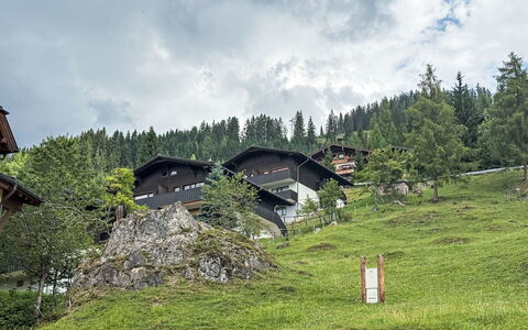 Daniele: Paysage, Montagnes, Zone Rurale, Station De Montagne, Forêt, Chaîne De Montagnes, Chalet, Mélèze, Village, Pente