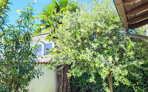 Villetta Isabella: L'Eau, Propriété, Plante, Bâtiment, Bleu Azur, Ciel, Fenêtre, Piscine, Design Urbain, Loisir