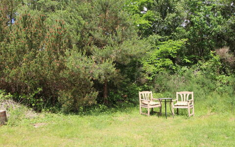 Mielikki - 2Km from the Sea: Végétation, Arbuste, Communauté Des Plantes, Lot Terre, Jardin, Couverture De Sol, Réserve Naturelle, Suppression Des Plantes Ligneuses, Formations Arbustives