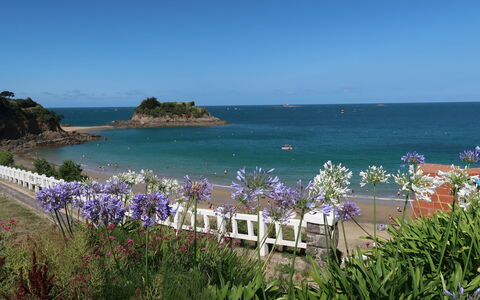 Ker Lolis: Fleur, L'Eau, Plante, Ciel, Bleu Azur, Plage, Cotiers Et Relief Océaniques, Paysage Naturel, Loisir, Horizon