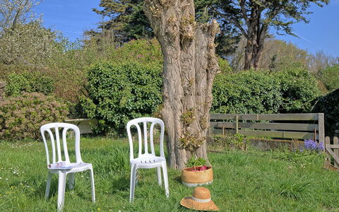 Ker Lolis: Arbuste, Tronc, Jardin, Mobilier De Jardin, Pelouse, Extérieur Banc, Arrière-Cour, Aménagement Paysager, Cour, Parc