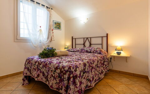 Logement:&nbsp;Olive Lodge 637.3