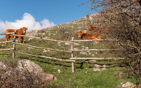Arcidosso 300: Nuage, Ciel, Plante, L'Eau, Arbre, Horizon, Zone Rurale, Paysage, Maison, Cumulus