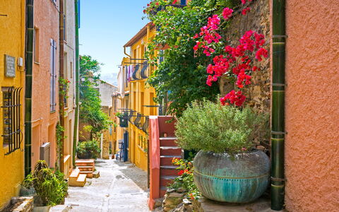 Collioure 150: Ciel, Plante, Bâtiment, Fenêtre, Surface De La Route, Ombre, Arbre, Asphalte, Lot Terre, Maison
