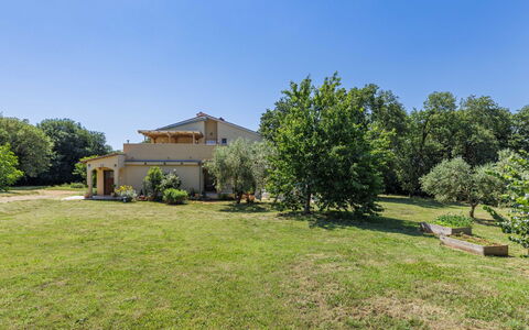 Fameja: Bleu, Arbre, Herbe, Végétation, Arbuste, Plaine, Domicile, Lot Terre, Biens