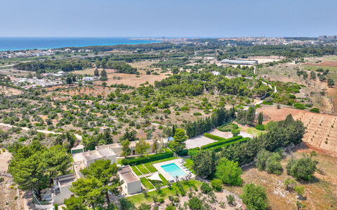 Masseria Ceratonia: Arbre, Vue Du Ciel, Zone Résidentielle, Paysage, Photographie Aérienne, Lot Terre, Design Urbain, Banlieue, Biens, Plantation