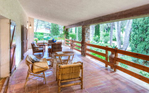 Hermine: Plante, Propriété, Meubles, Bâtiment, Table, Porche, Bois, Chaise, Arbre, Design Intérieur