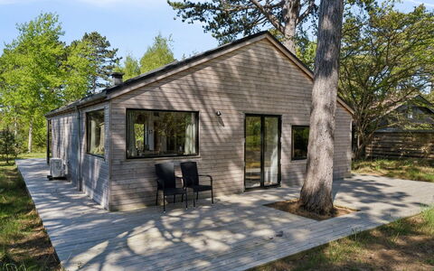 Dagino - 200M from the Sea: Végétation, Arbuste, Printemps, Chalet, Jardin, Ombre, Arrière-Cour, Cour, Chaise