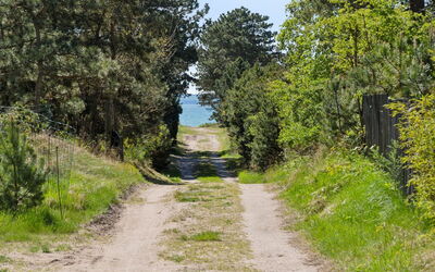 Dagino - 200M from the Sea