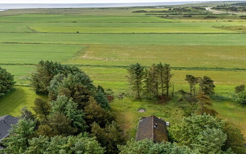 Brawith - 700M to the Fjord: Vert, Prairie, Plaine, Paysage, Champ, Écorégion, Lot Terre, Zone Rurale, Photographie Aérienne