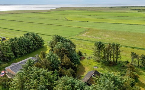 Brawith - 700M to the Fjord: Vert, Paysage Naturel, Prairie, Plaine, Champ, Paysage, Écorégion, Lot Terre, Zone Rurale, Plantation