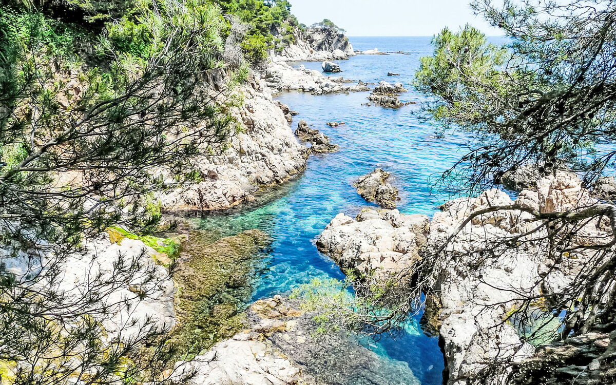 Llafranc Beach