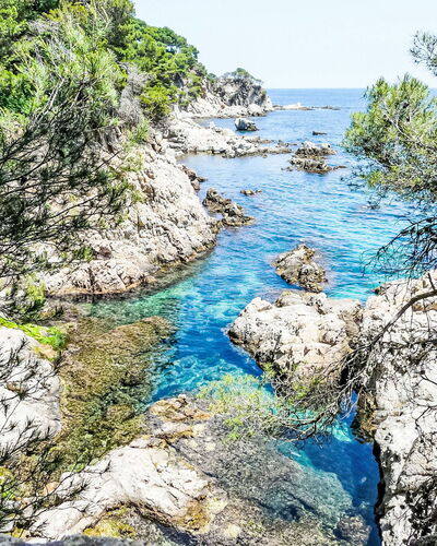 Llafranc Beach