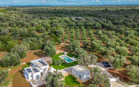 Trullo Brenda: Arbre, Vue Du Ciel, Paysage, Photographie Aérienne, Plaine, Lot Terre, Biens, Plantation, Aménagement Paysager, Parc