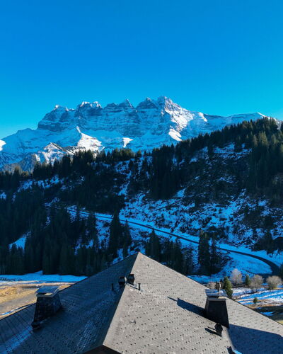 Edelweiss