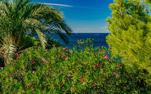 Verena: Appartement, Mer, Balcon, Ombre, Hôtel, Recours, Appartement Penthouse, Aluminium