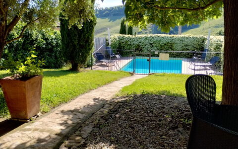 Il Bosco: Arbuste, Jardin, Piscine, Ombre, Pelouse, Arrière-Cour, Aménagement Paysager, Loisir, Cour