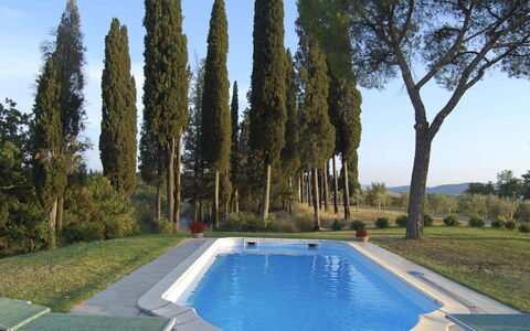 Santo Stefano: Piscine, Jardin, Aménagement Paysager, Biens, Arrière-Cour, Ombre, Villa, À Feuilles Persistantes, Hacienda