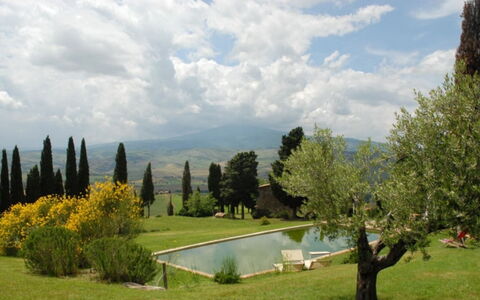 Vallocchie: Arbre, Herbe, Paysage, Plaine, Lot Terre, Jardin, Aménagement Paysager, Prairie, Pelouse