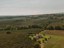 Bagnoletto