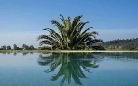 Villa Moscato: Bleu, L'Eau, Plan D'Eau, Réflexion, Lac, Piscine, Réservoir, Tropiques, Miroir D'Eau