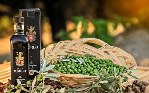 Villa Savino: Bouteille, Du Vin, Bouteille En Verre, Aliments, Produire, Aliments Naturels