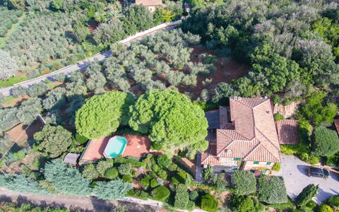 Villa Magazzini: Végétation, Paysage, Biens, Vue Du Ciel, Photographie Aérienne, Banlieue, Plantation, Aménagement Paysager
